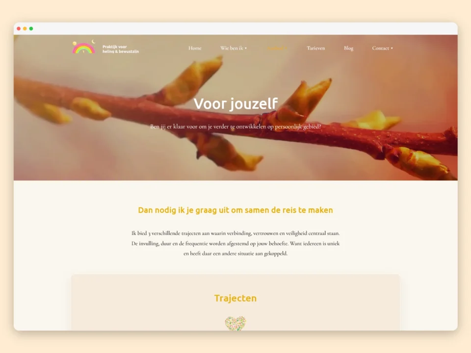 Veerkrachtiger dan ooit helene postema webdesign website laten maken