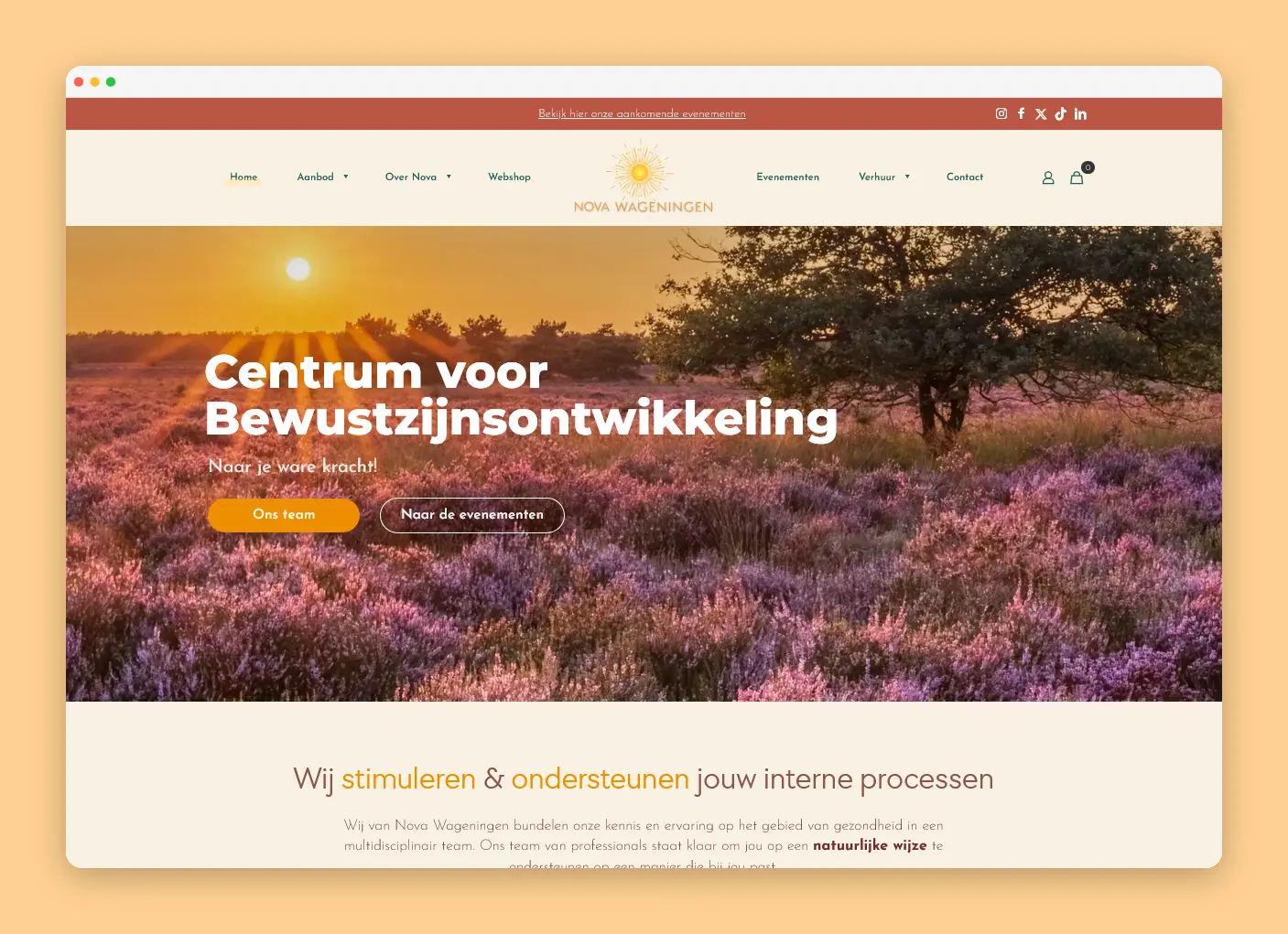 Have Nova Wageningen create webdesign website