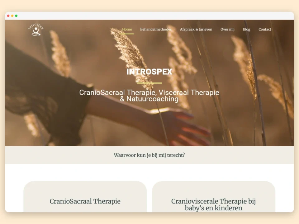 Introspex webdesign website let make pew online
