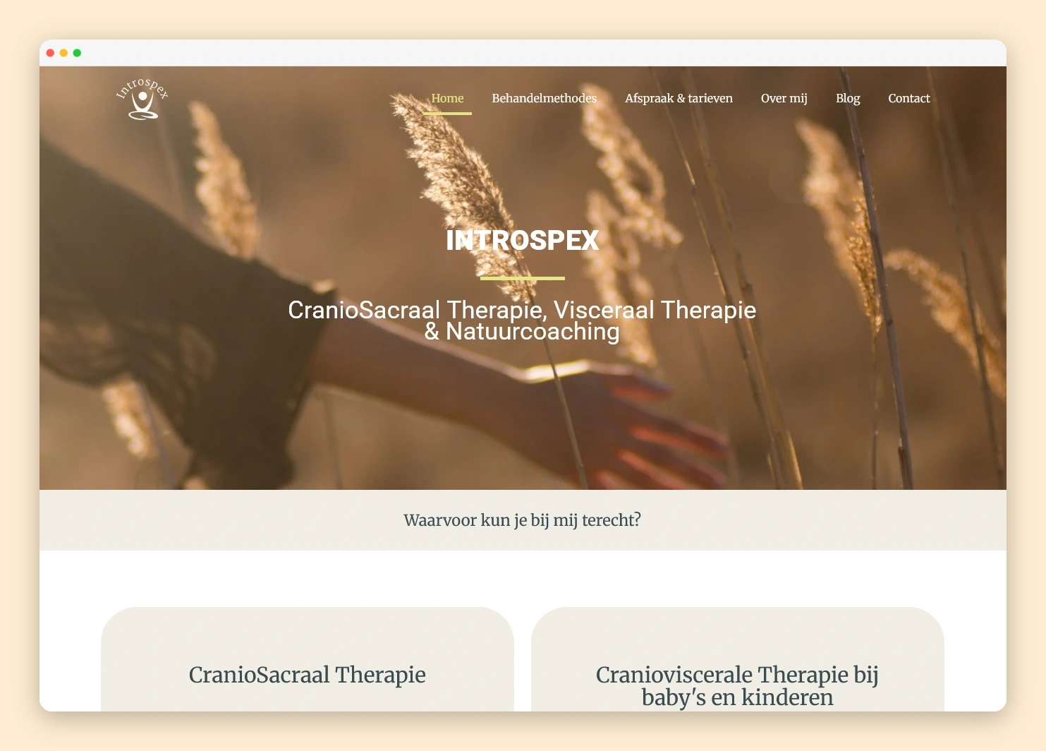 Introspex webdesign website let make pew online